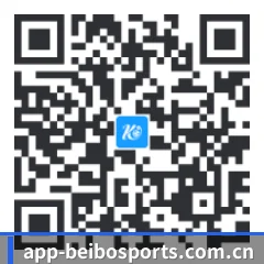 系统版 iOS 二维码